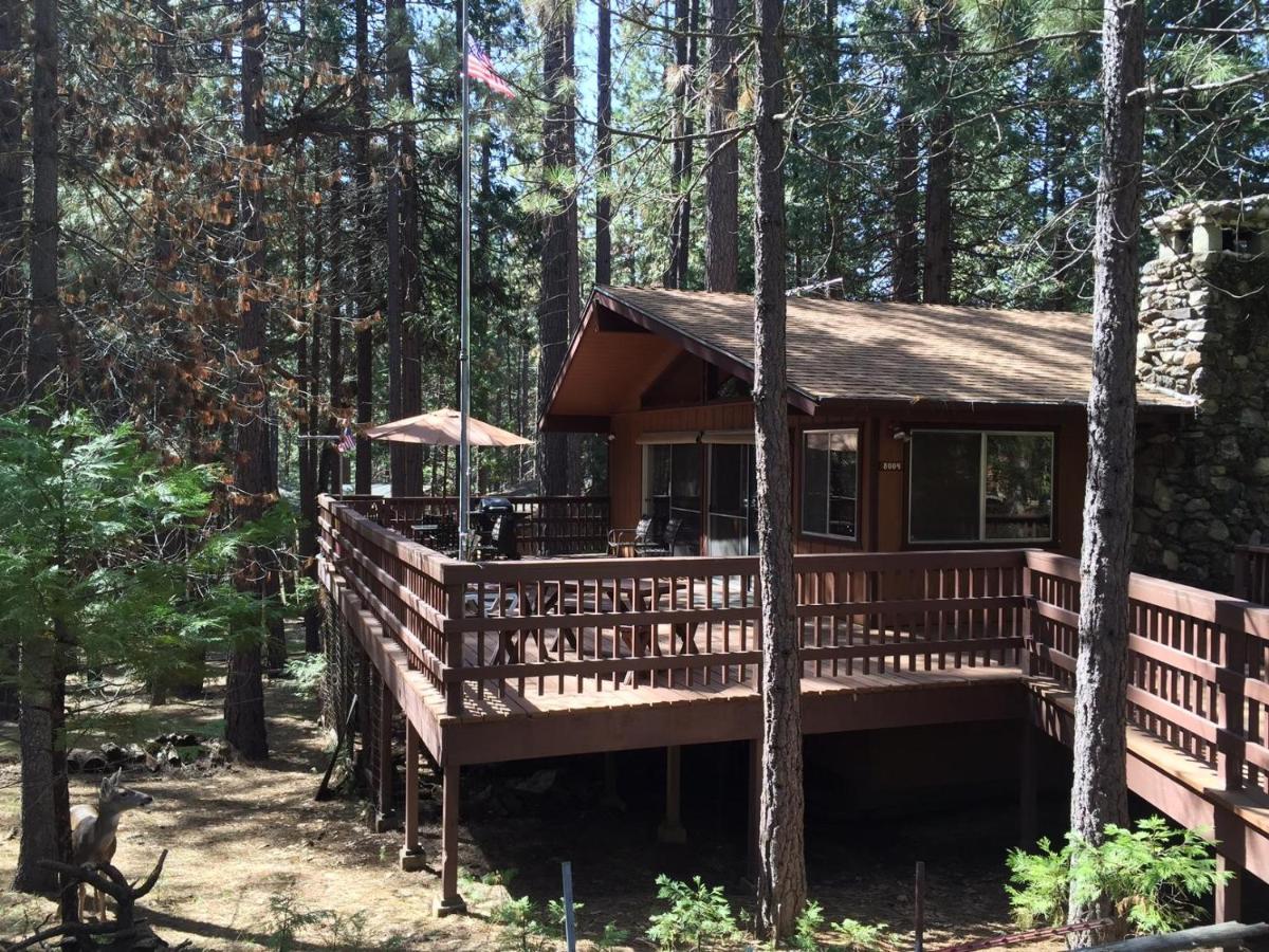 Papa Bear Cabin North Wawona Exteriér fotografie