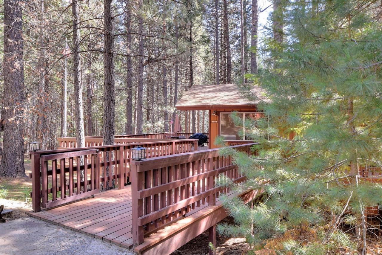 Papa Bear Cabin North Wawona Exteriér fotografie